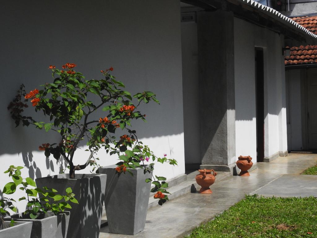 Wattarantanne Homestay Канди Экстерьер фото